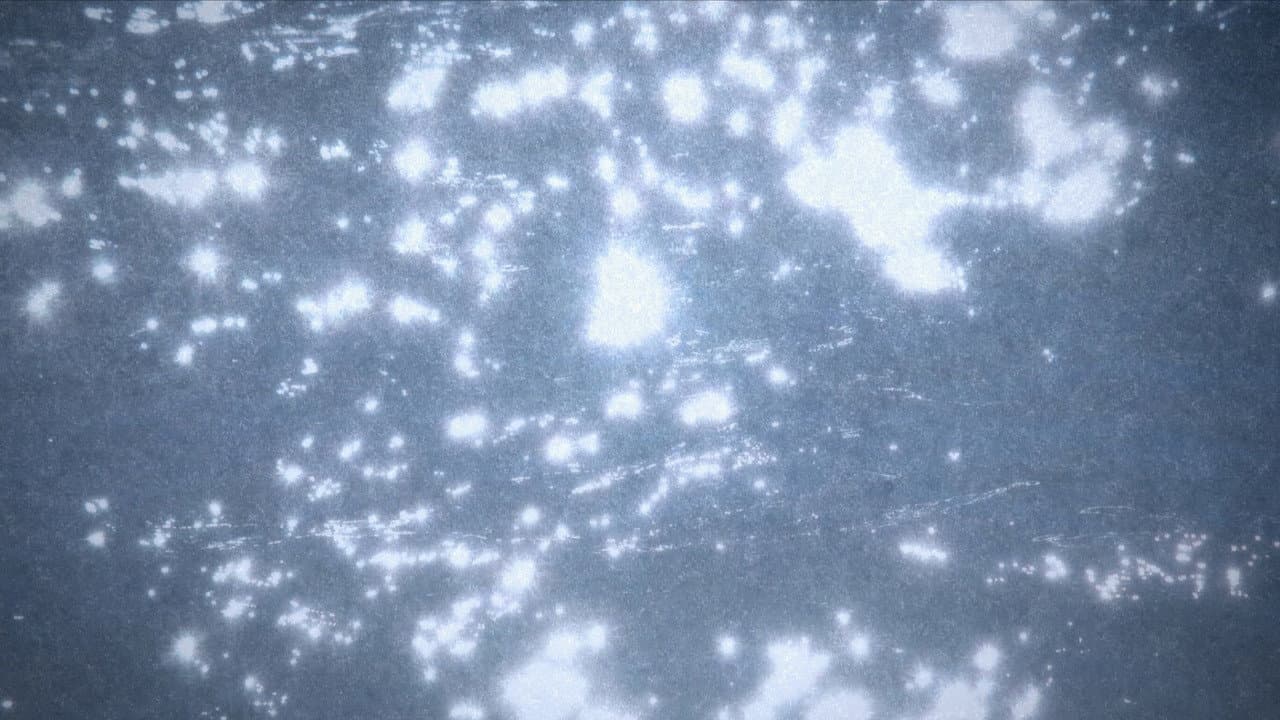 Microcosmos