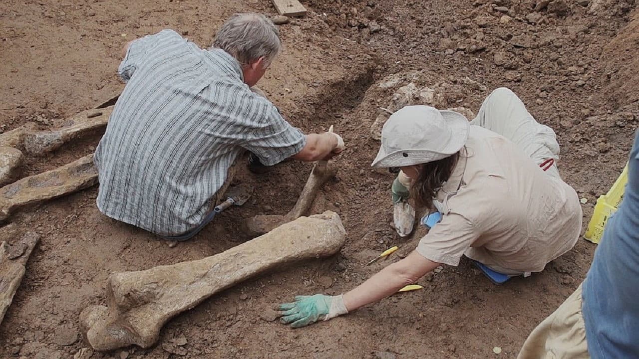 Perm Antiquities. The Elephant of Okhansk