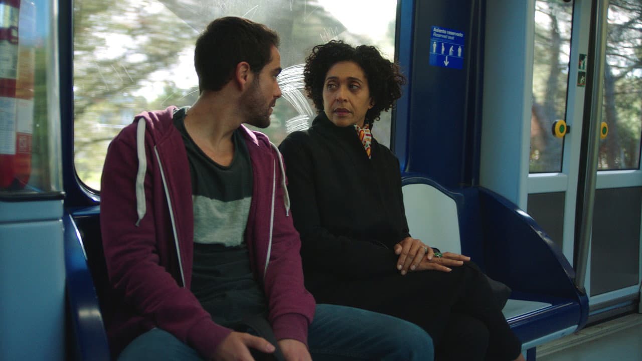 El chico del tren
