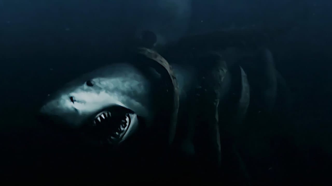 Mega Shark Collection