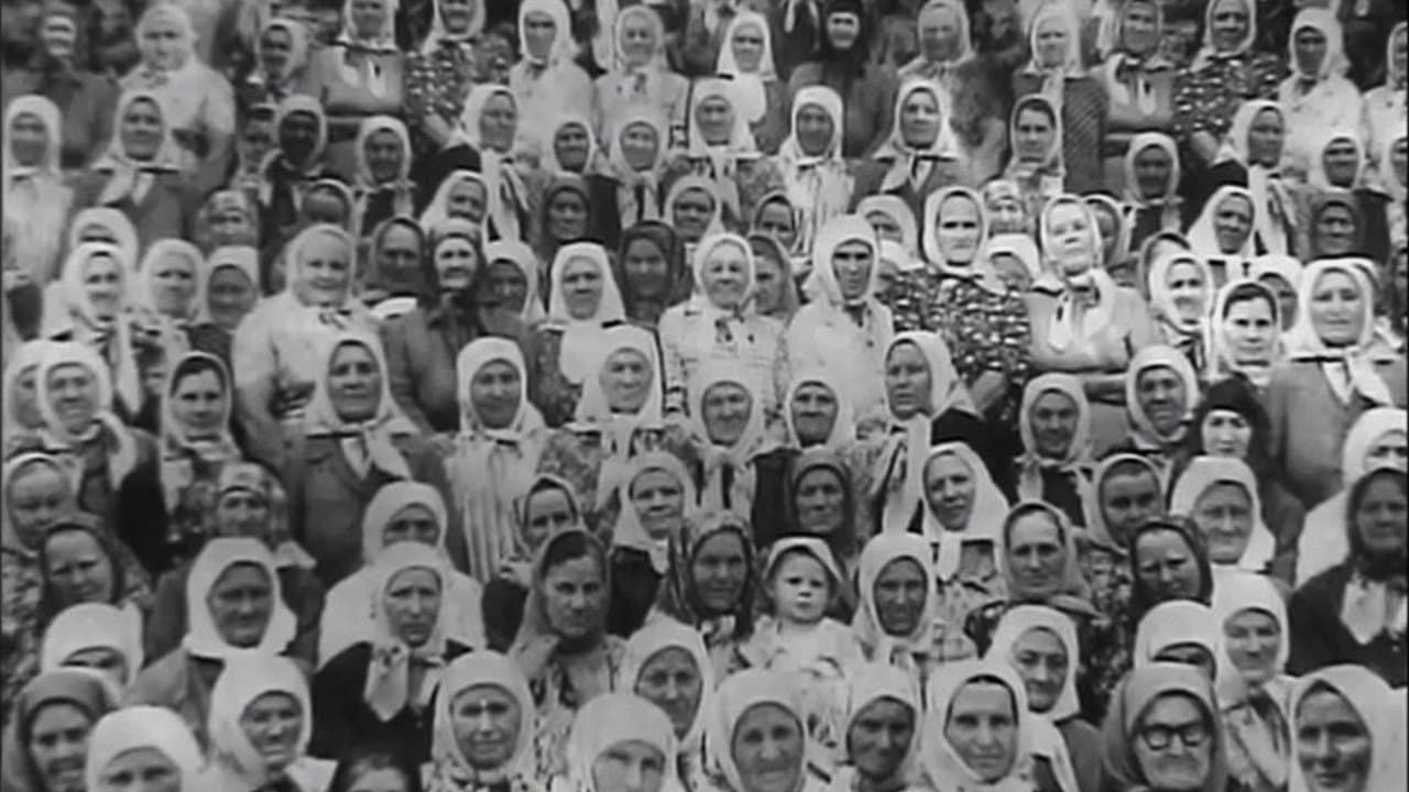 Soldier's Widows
