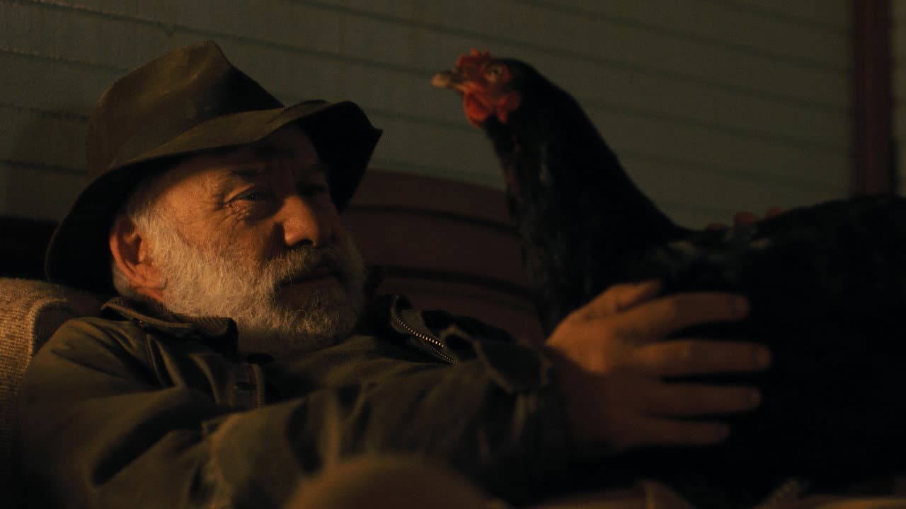 Hen