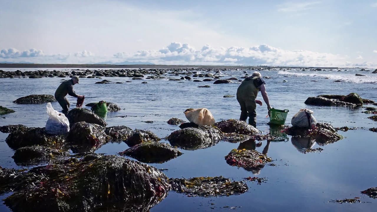 The Bountiful Land - Icelandic Food Tradition and Food History