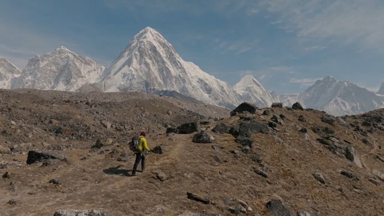 The Climb of the Shoeshiner