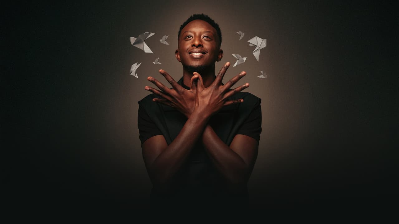 Ahmed Sylla - Origami