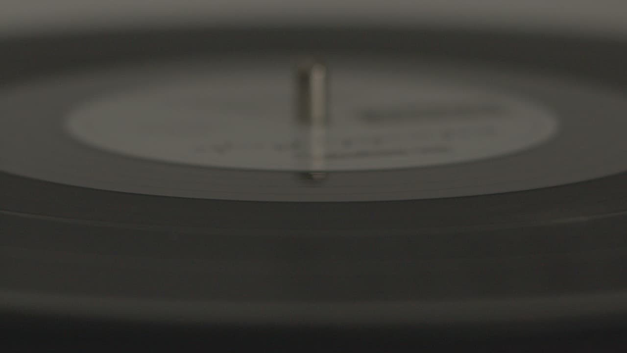 The Vinyl Player