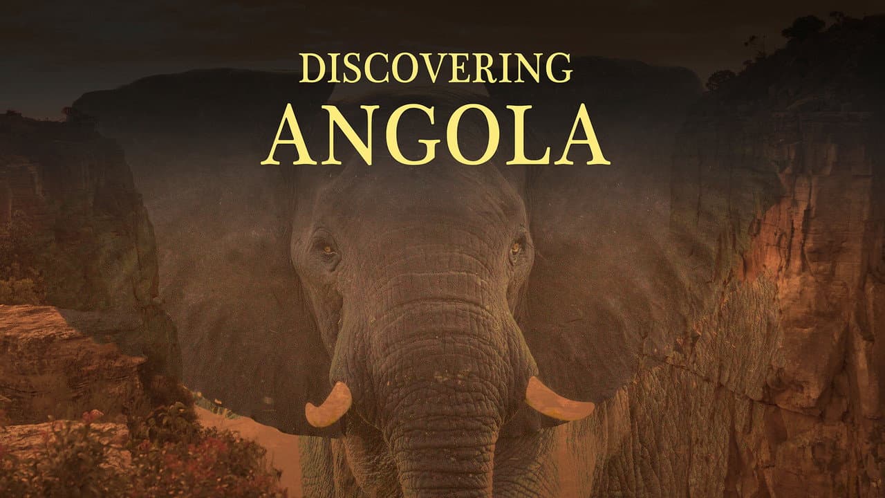Discovering Angolaang