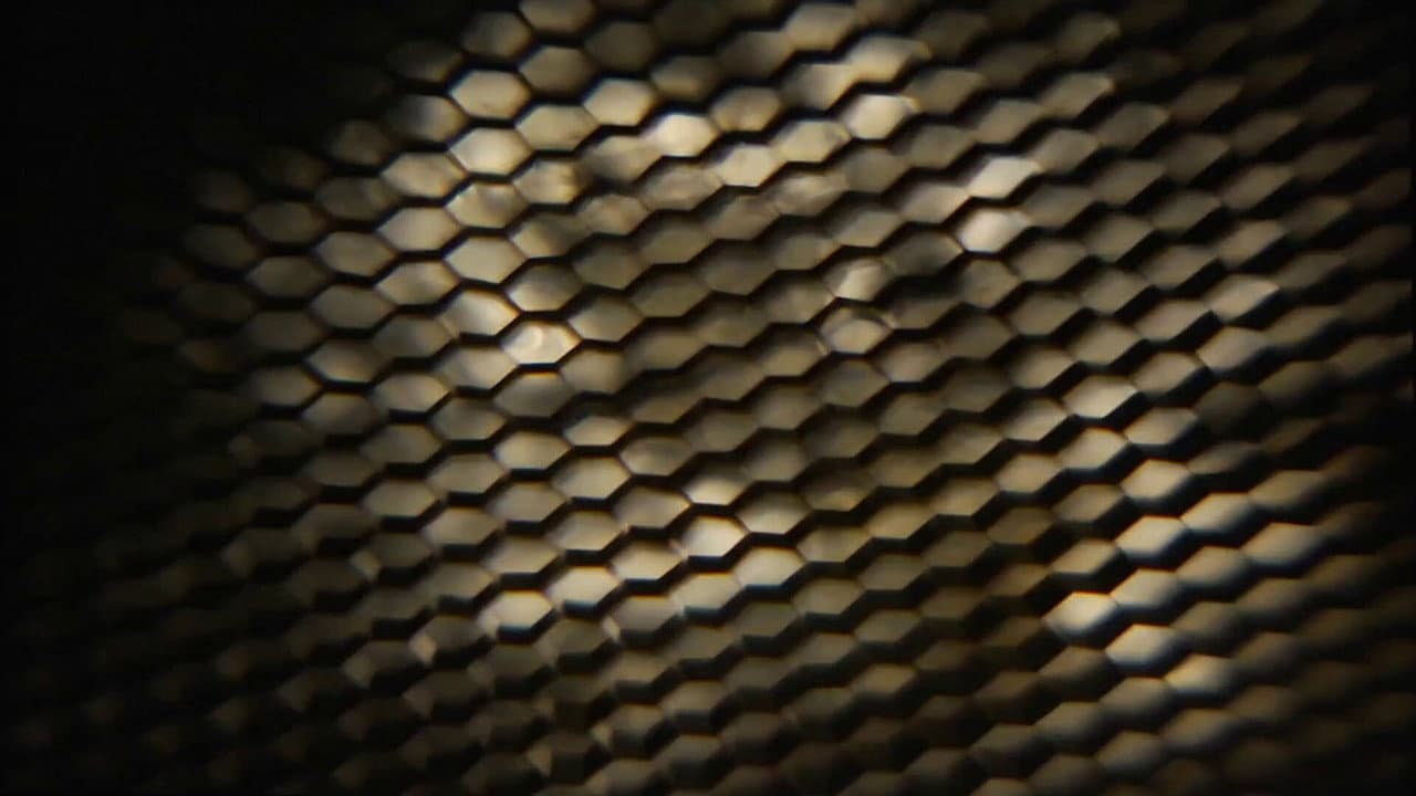 Movie That Invites Pausing