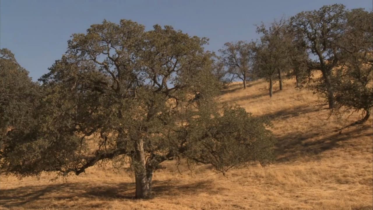 Fall Equinox