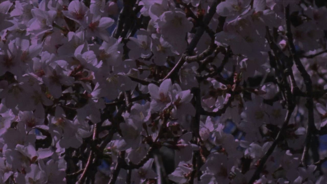 Spring Songs