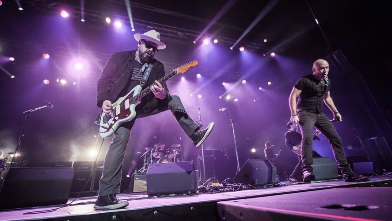 Live: The Reunion World Tour - Live from South Africa