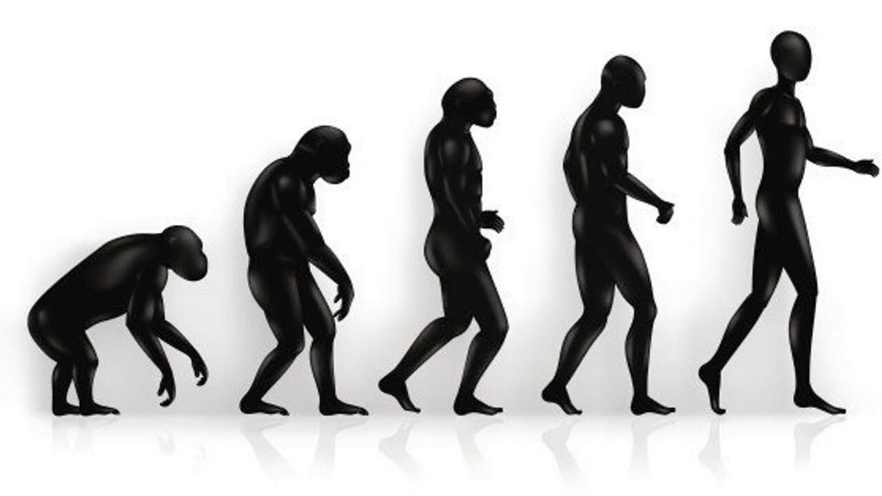 Aux origines de l'humanité