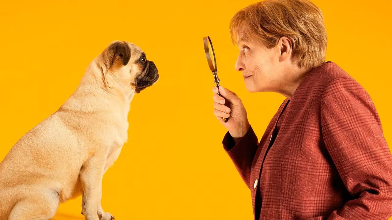 Miss Merkel Sammlung
