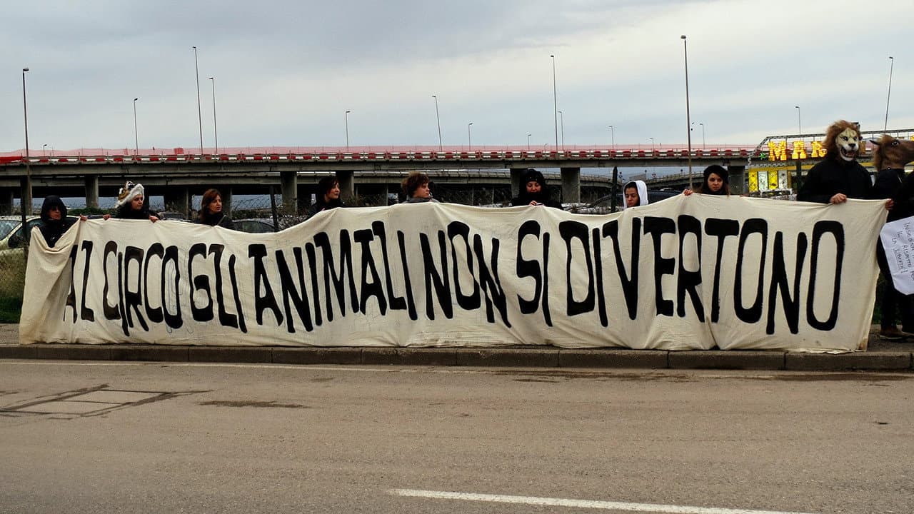 L’ultimo spettacolo