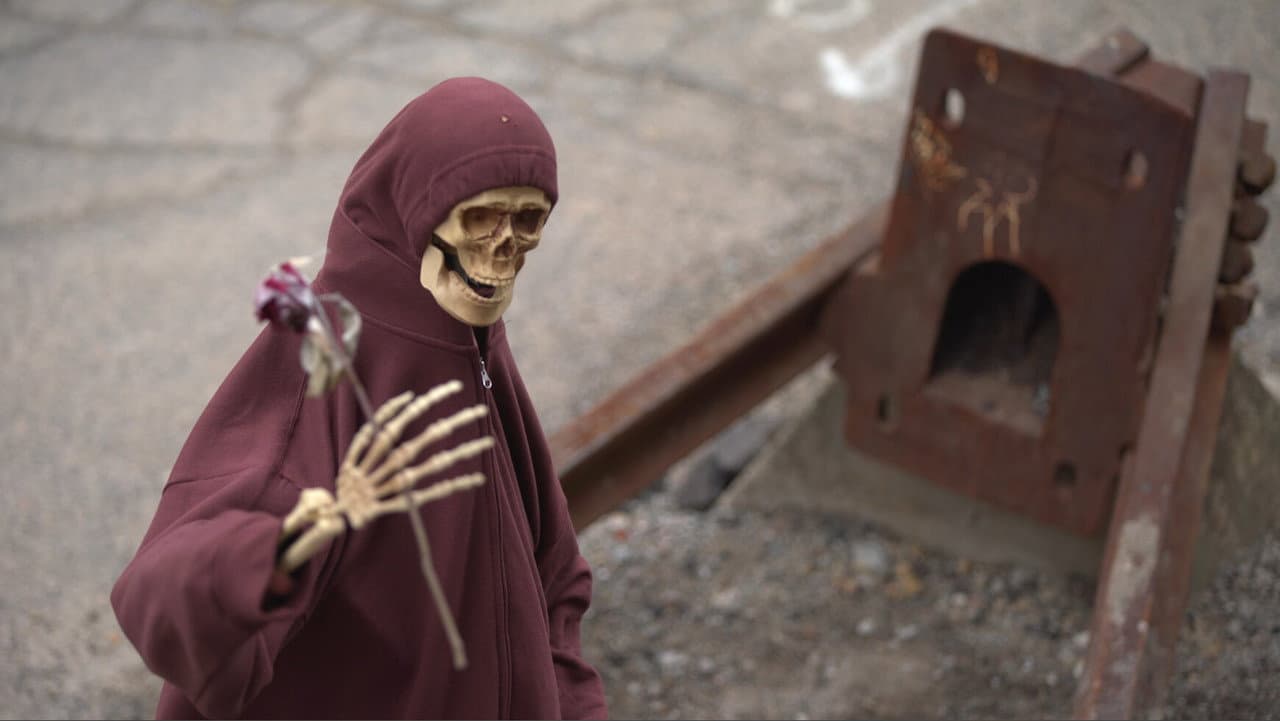 Bone