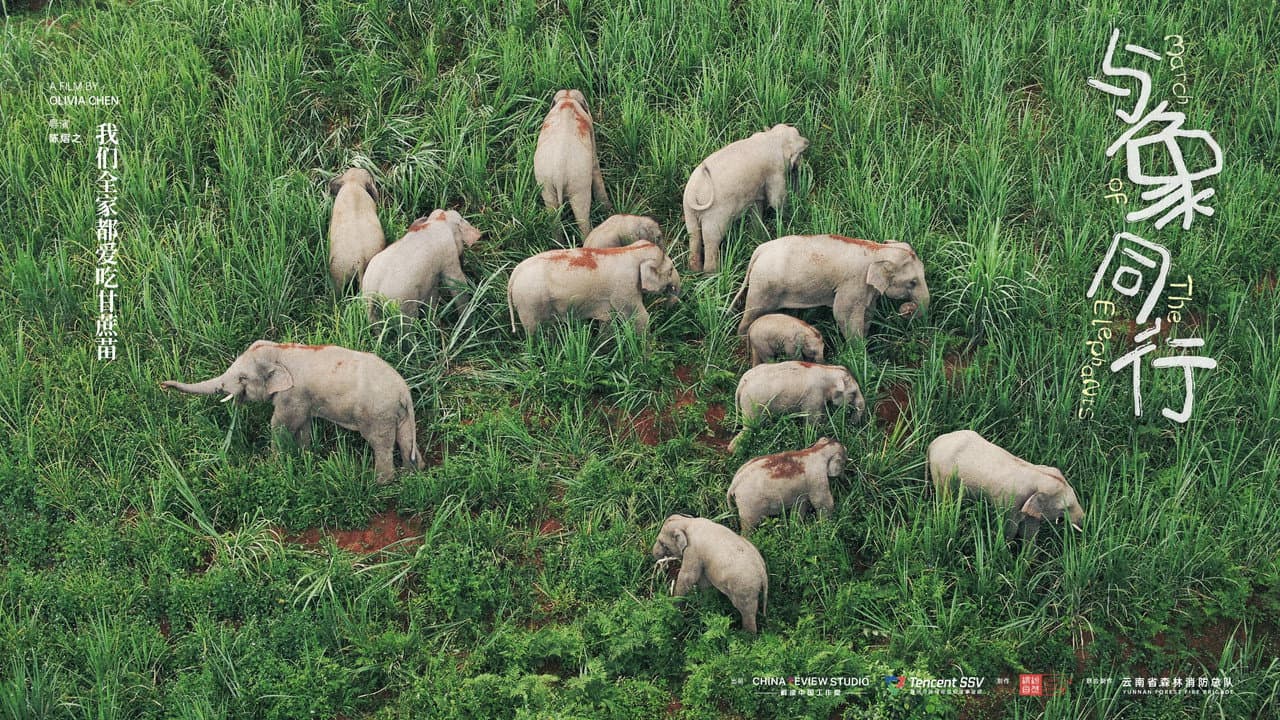 March of the Elephants