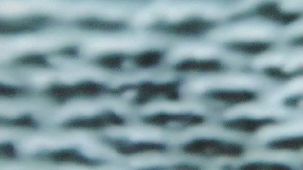 The Wind