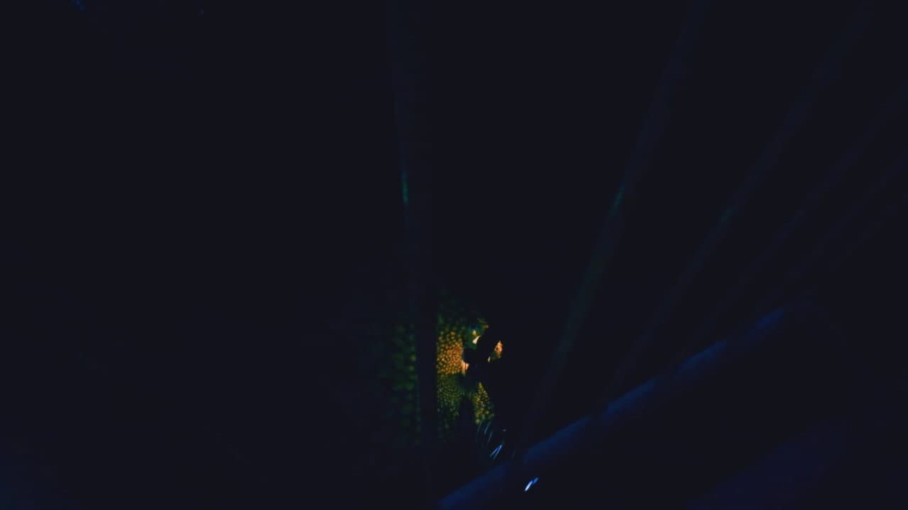 shadows scare me
