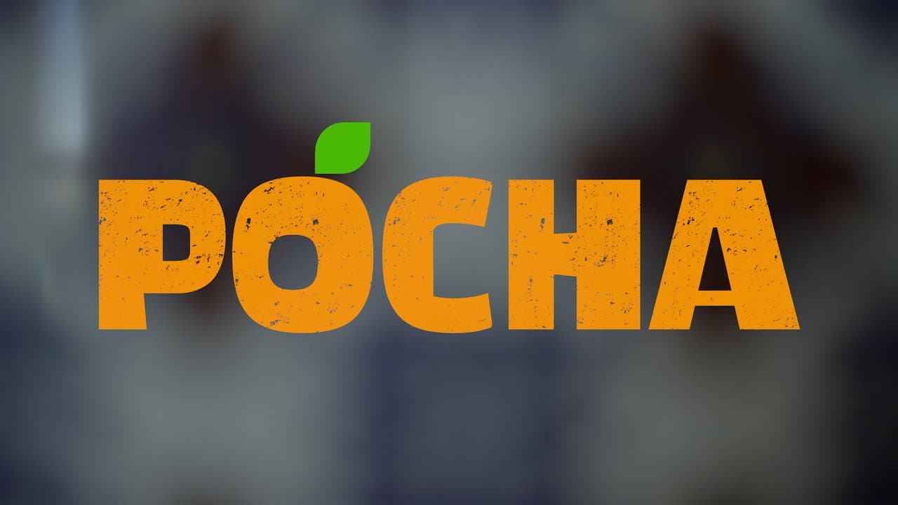 Pocha