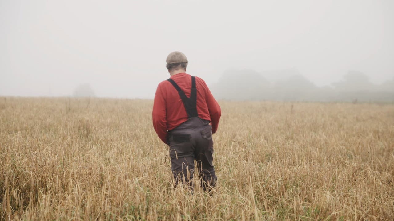 In Our Hands: Seeding Change