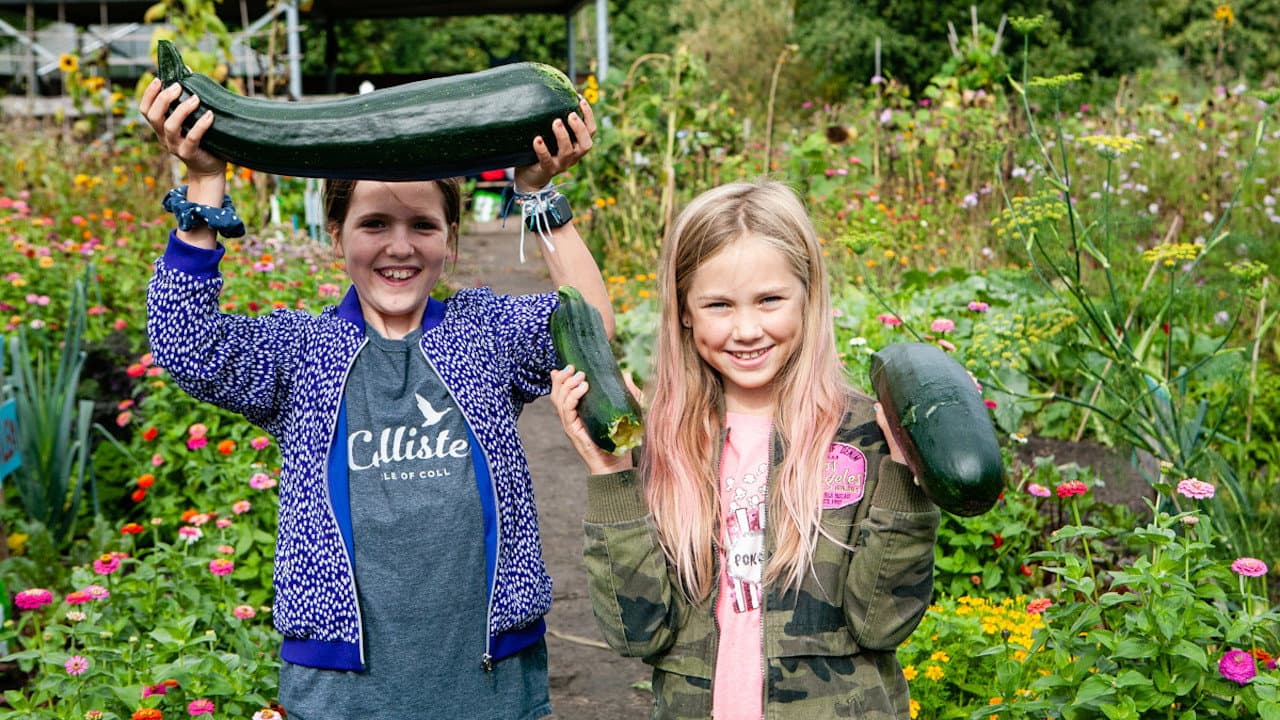 Planet Soil Junior