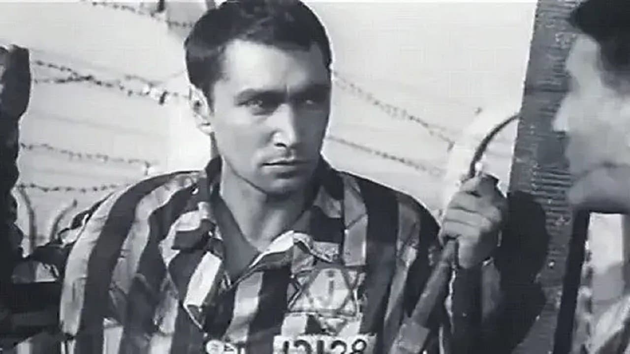 Sons of the Fatherland