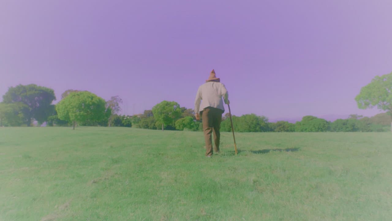 The Wizard and the Detective in the Search