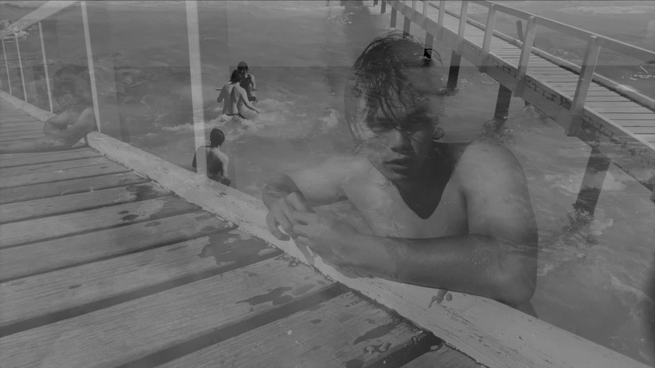 Jetty #538