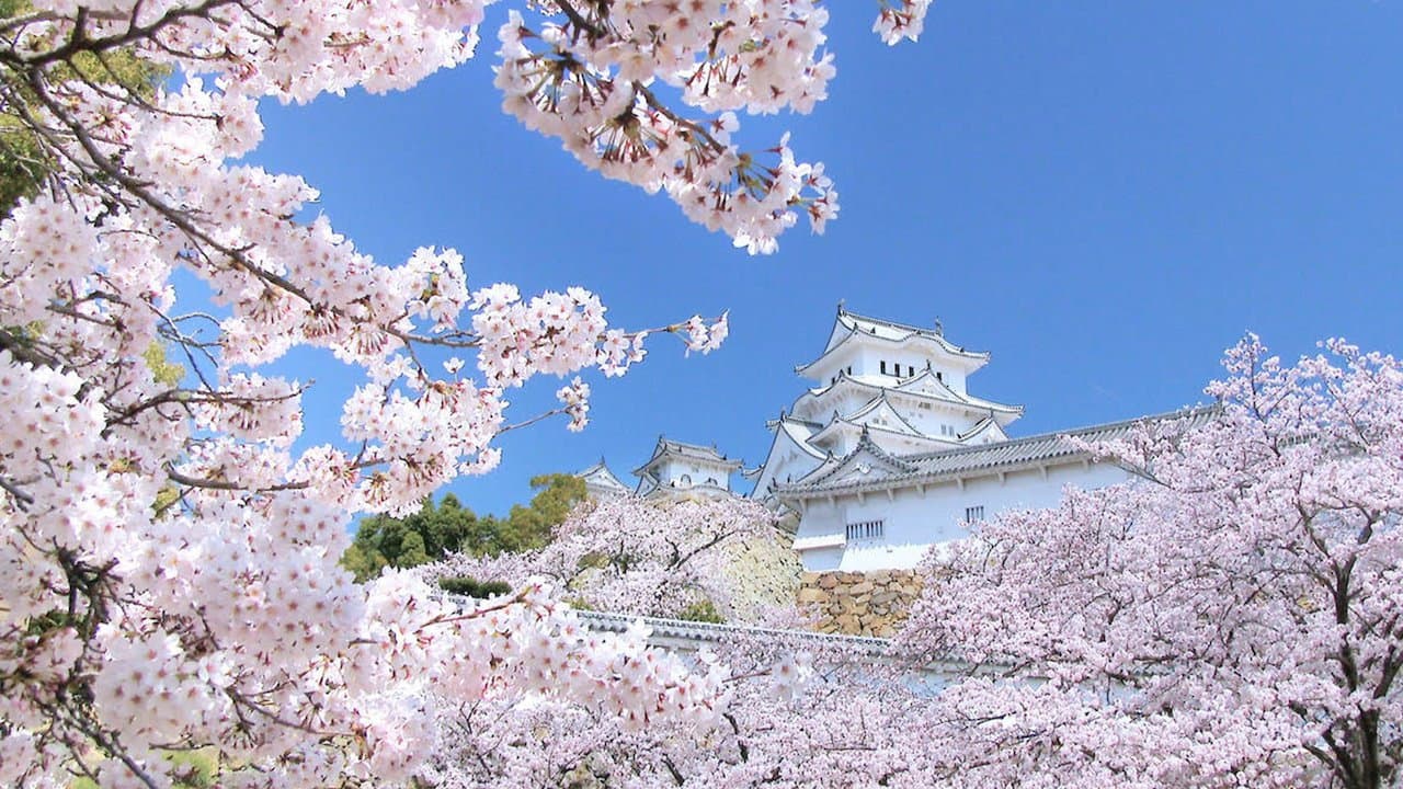 Peace Nippon