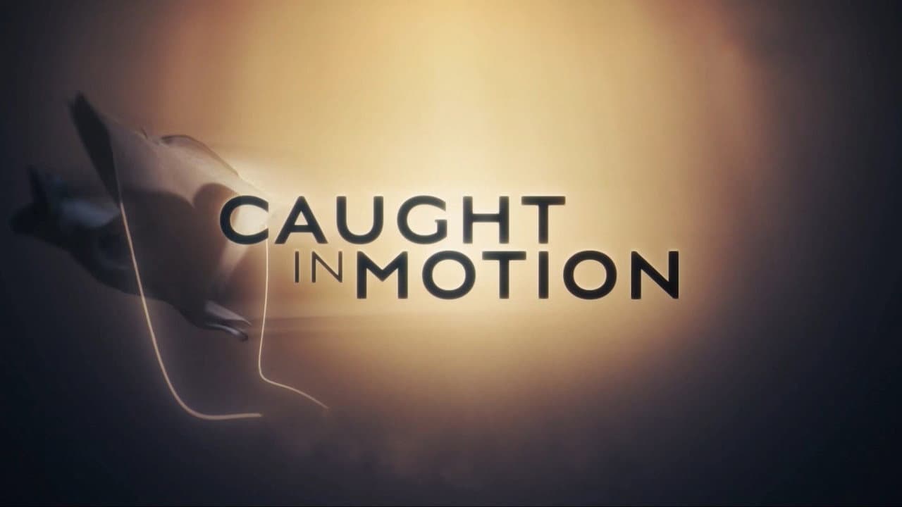 Caught in Motion