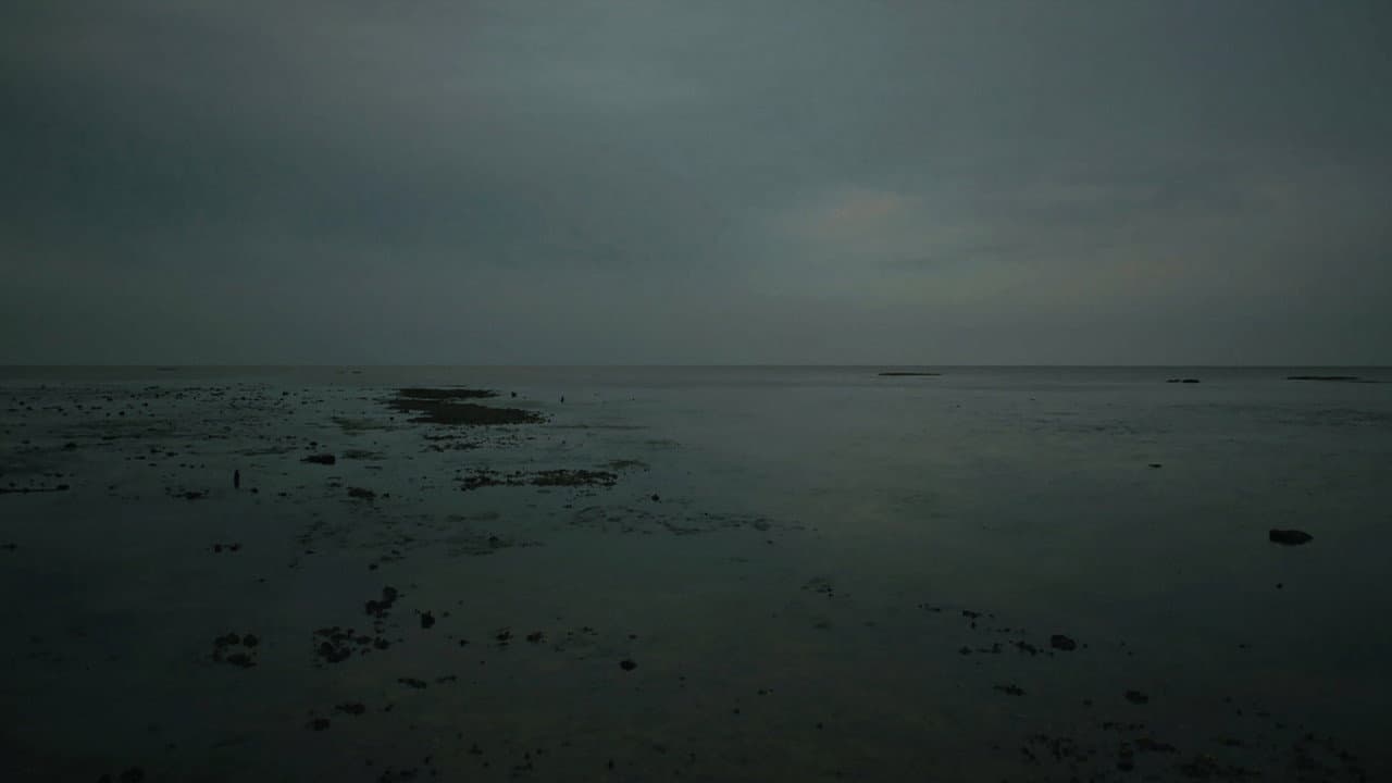 Meta Incognita: Missive II