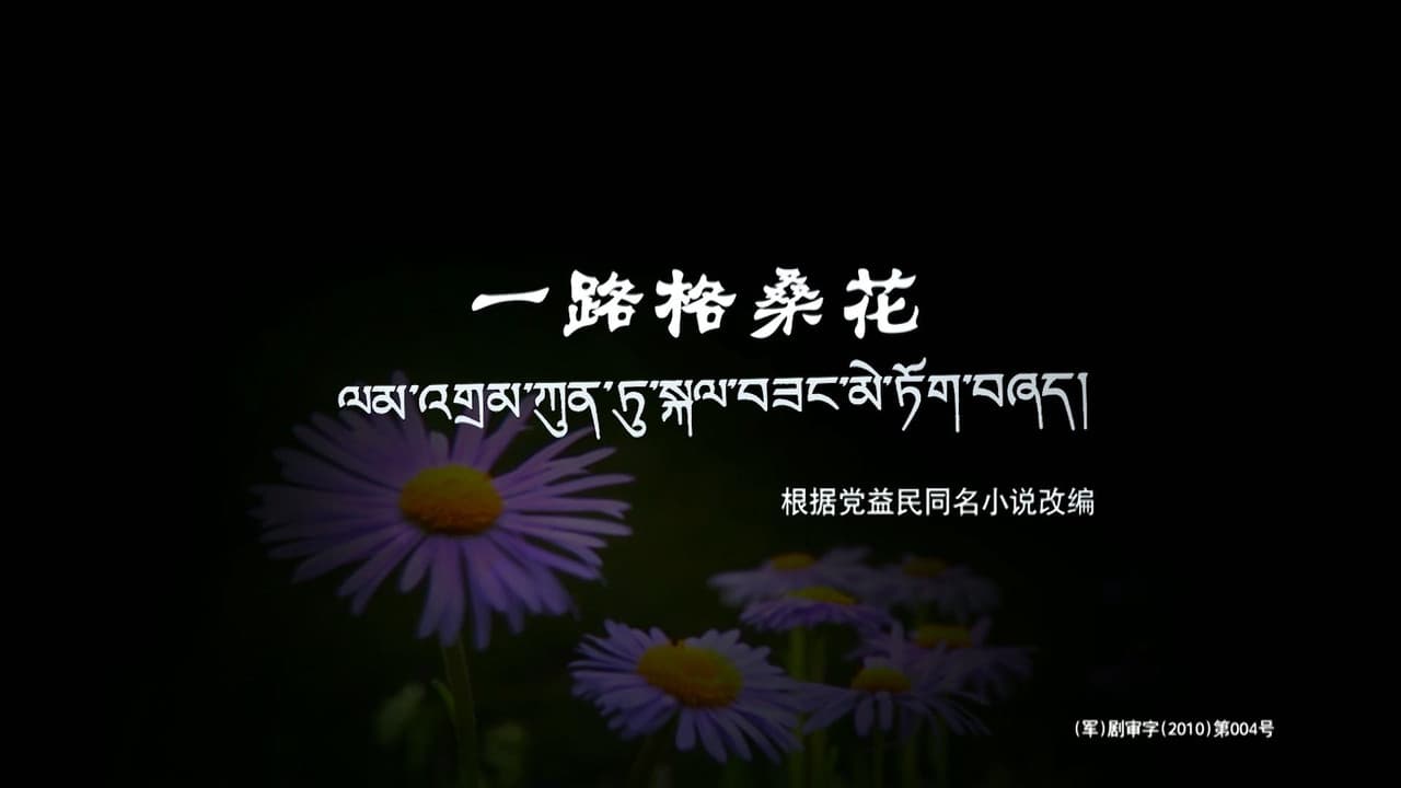 一路格桑花