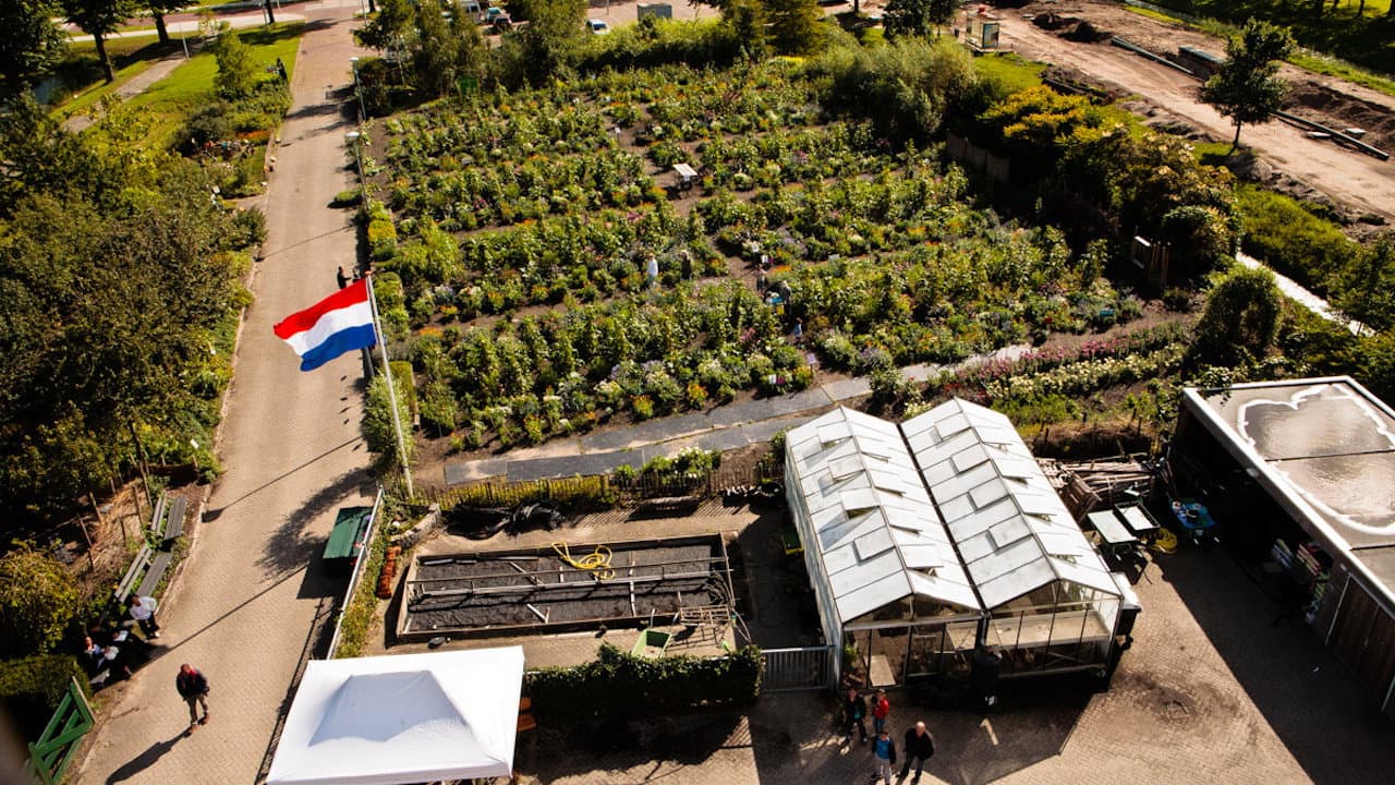The Schoolgarden
