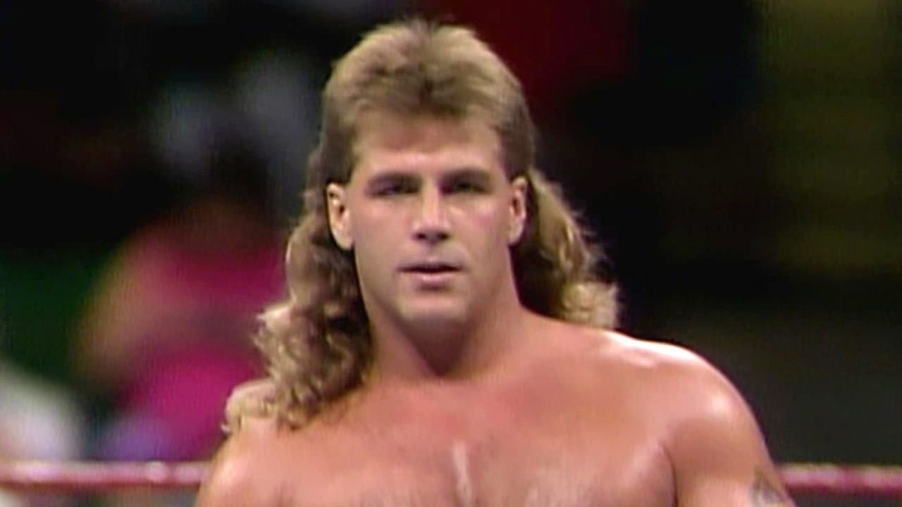 Shawn Michaels: Hits from the Heartbreak Kid