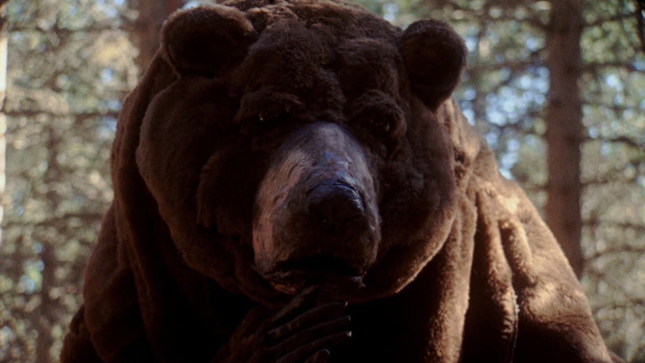 Oso