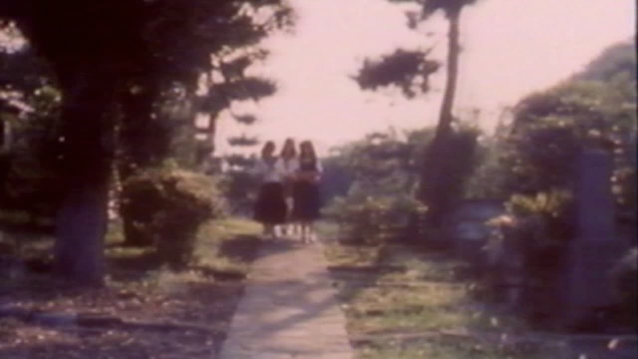 Momoco Wonderland: Strange House