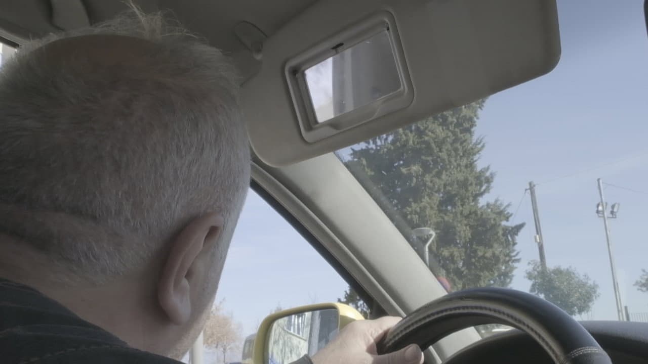 THE CAB DRIVER