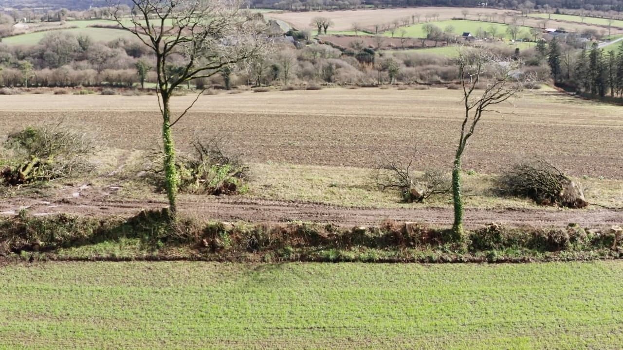 Le village qui voulait replanter des arbres
