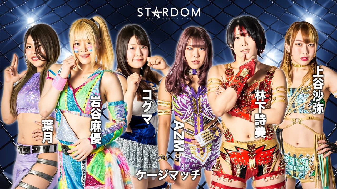 Stardom Fight in the Top 2022 ~Nagoya Summit Battle~