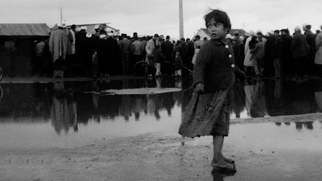 Algeria, Year Zero