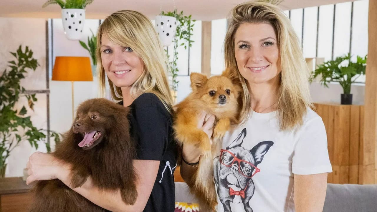 Animaux à adopter : Nouvelle famille pour une nouvelle vie