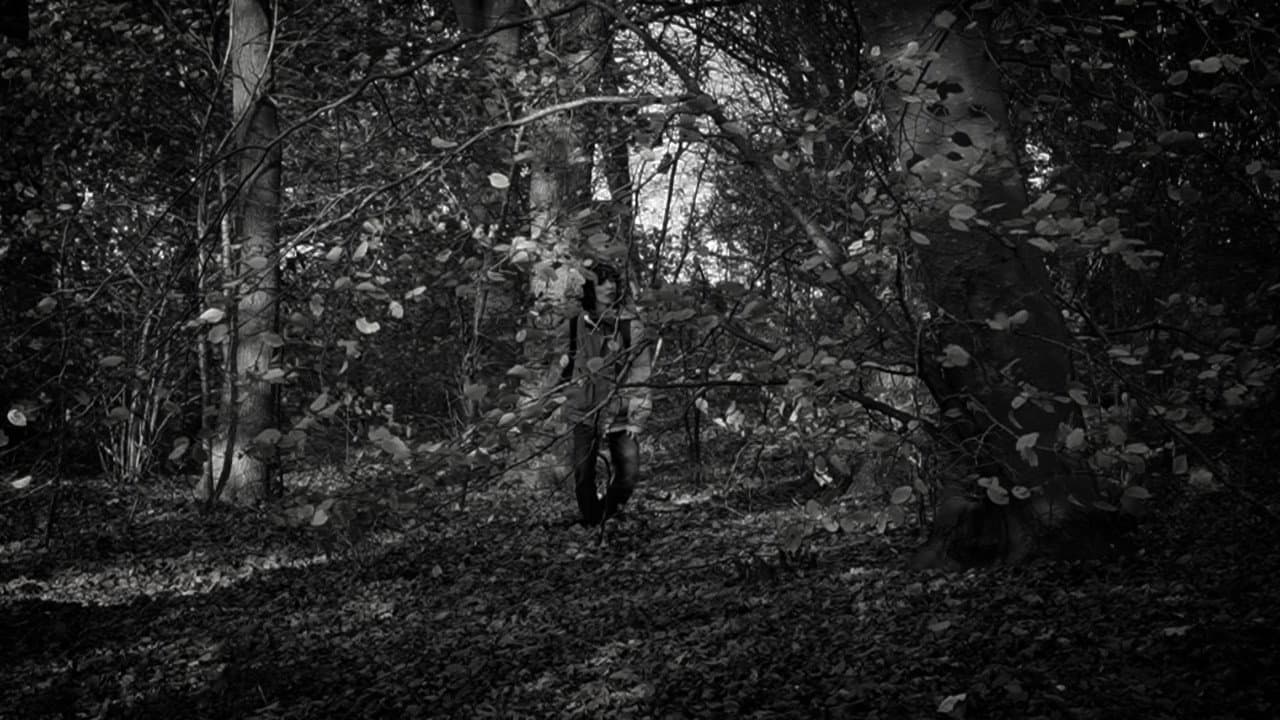 the forest of great mystery and emptiness