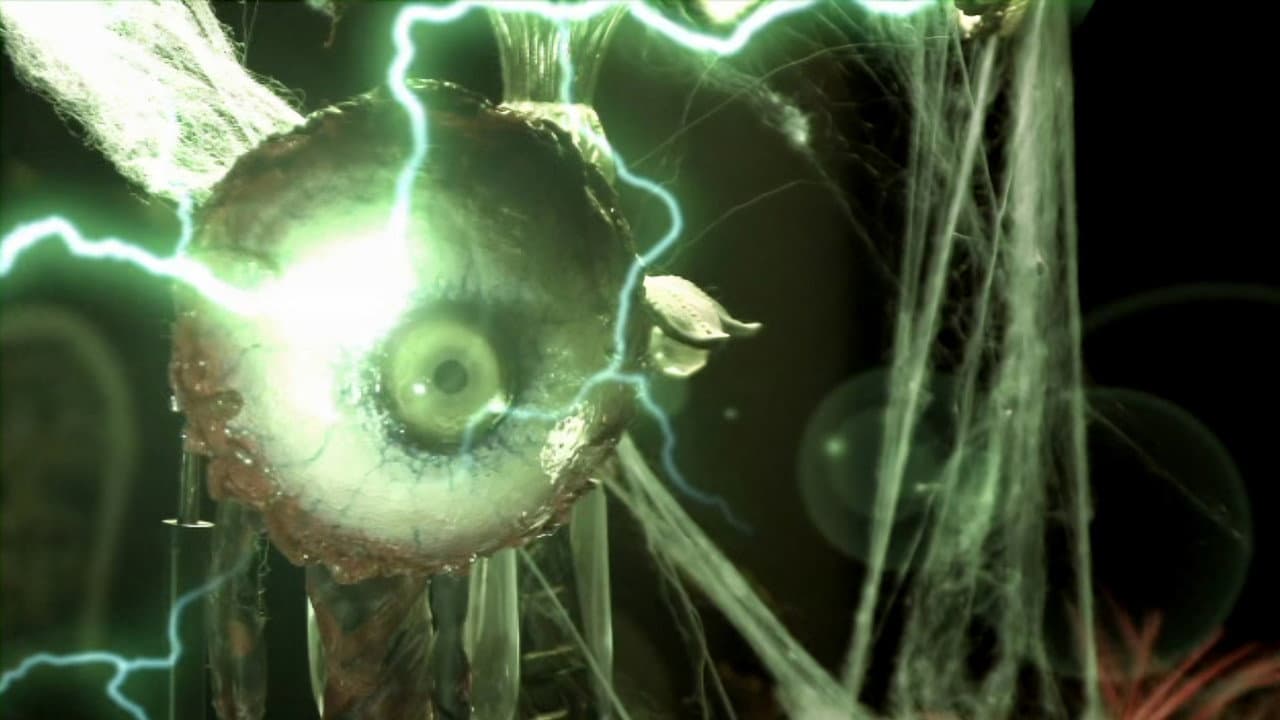 The Killer Eye Collection