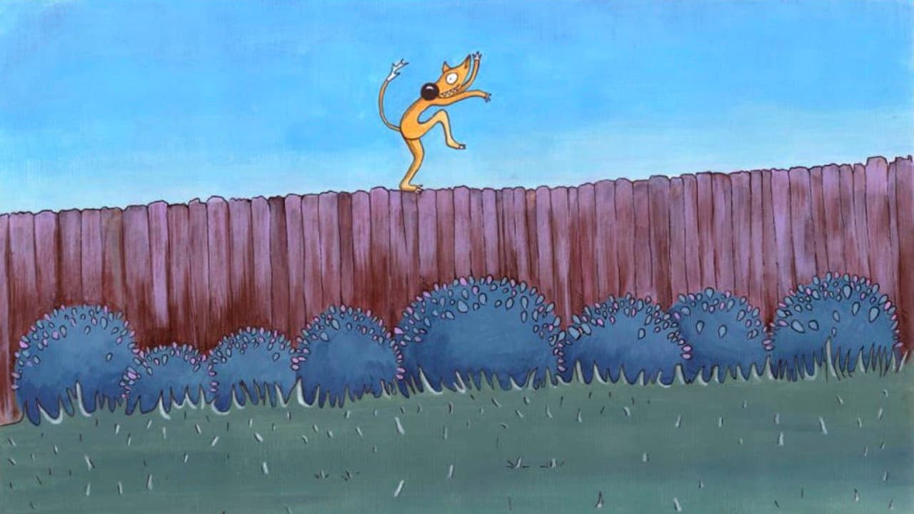 Crazy Fox