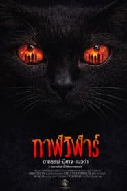 Devil Black Cat