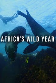 Africa's Wild Year