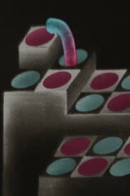 Les Sommets du cinéma d'animation