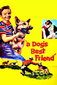 A Dog's Best Friend