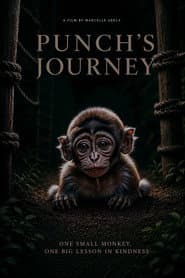 Punch's Journey