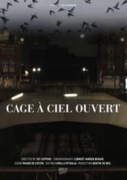 Cage À Ciel Ouvert